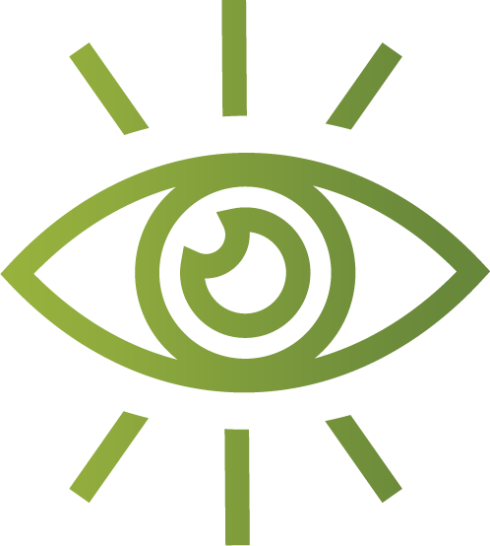 eye icon