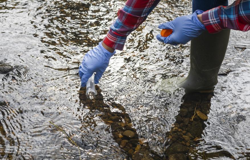 Microplastics