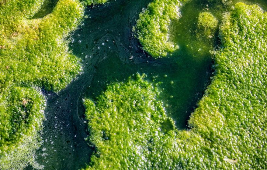 a close up of wastewater