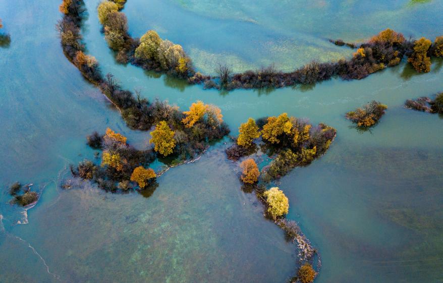 aerial view of a body of water